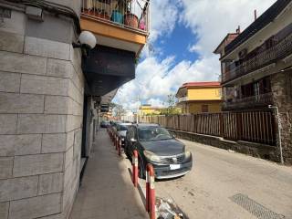 Zona