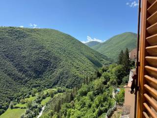 Vista