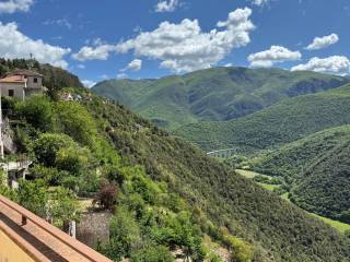 Vista