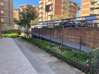 Zona