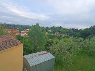 Vista