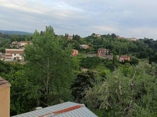 Vista