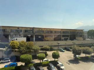 Vista