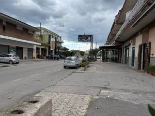 Zona