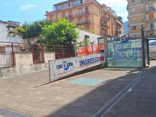 Zona