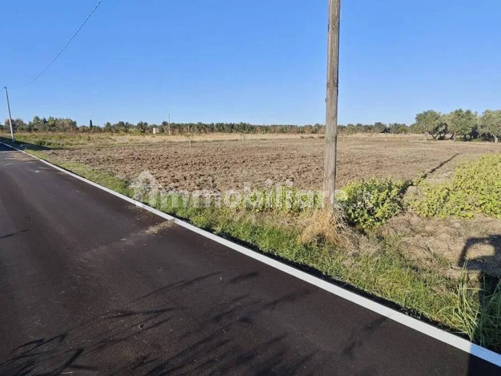Terreno