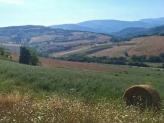 Vista