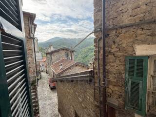 Vista
