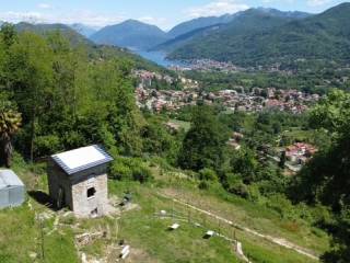 Vista