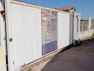 Zona