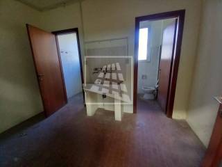 Ingresso