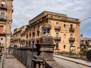 Zona