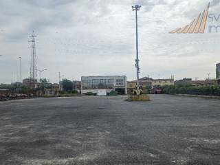 Zona