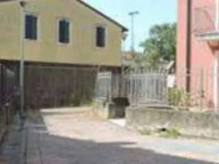 Zona