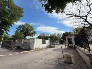 Zona