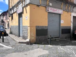 Zona