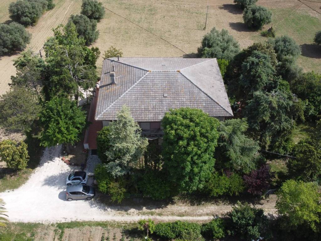 Vista