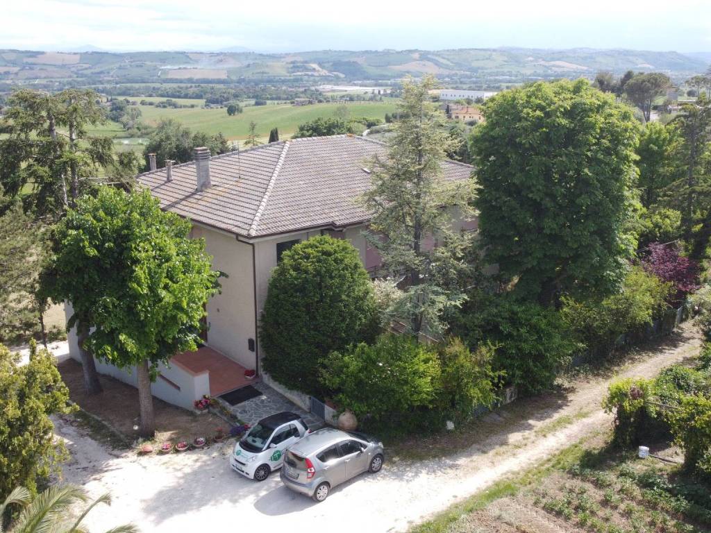 Vista