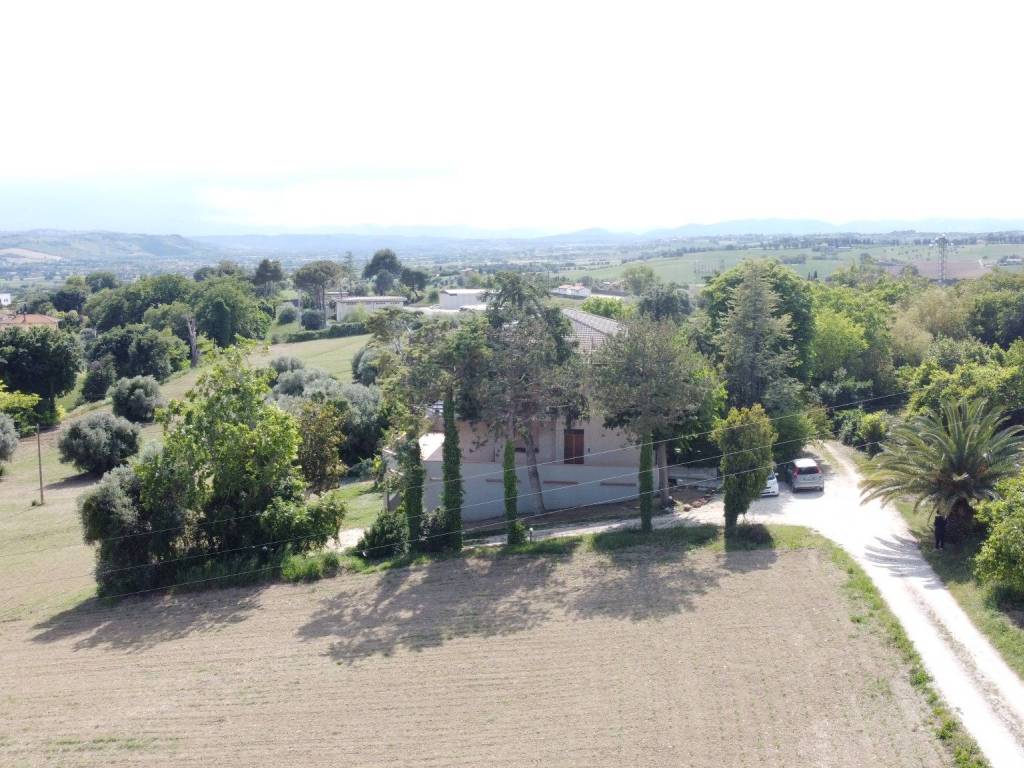 Vista