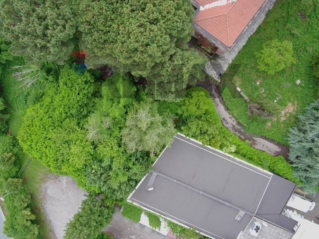 Vista