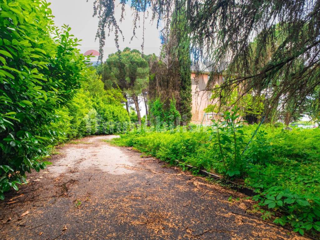 Giardino