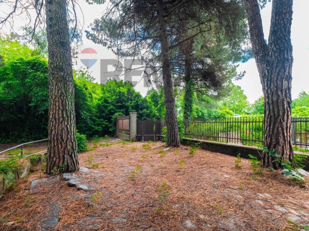 Giardino