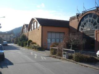 Zona
