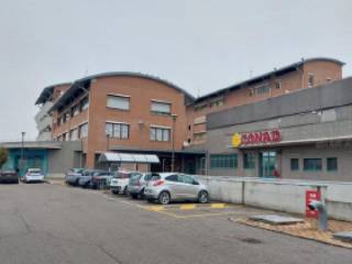 Zona