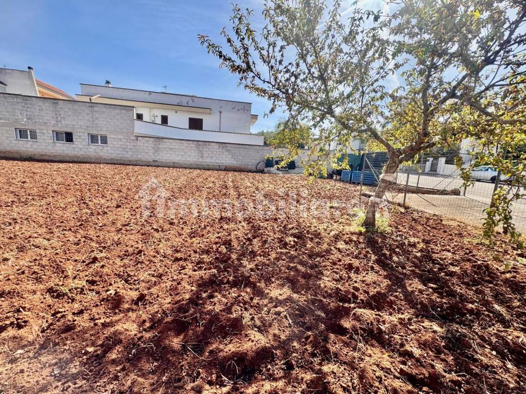 Terreno