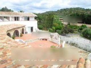 Zona