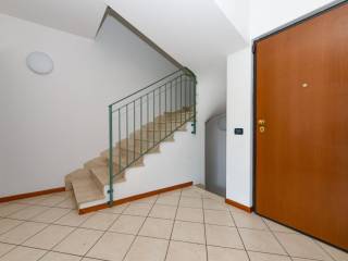 Ingresso