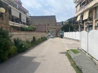 Zona