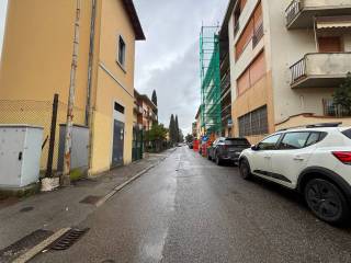 Zona