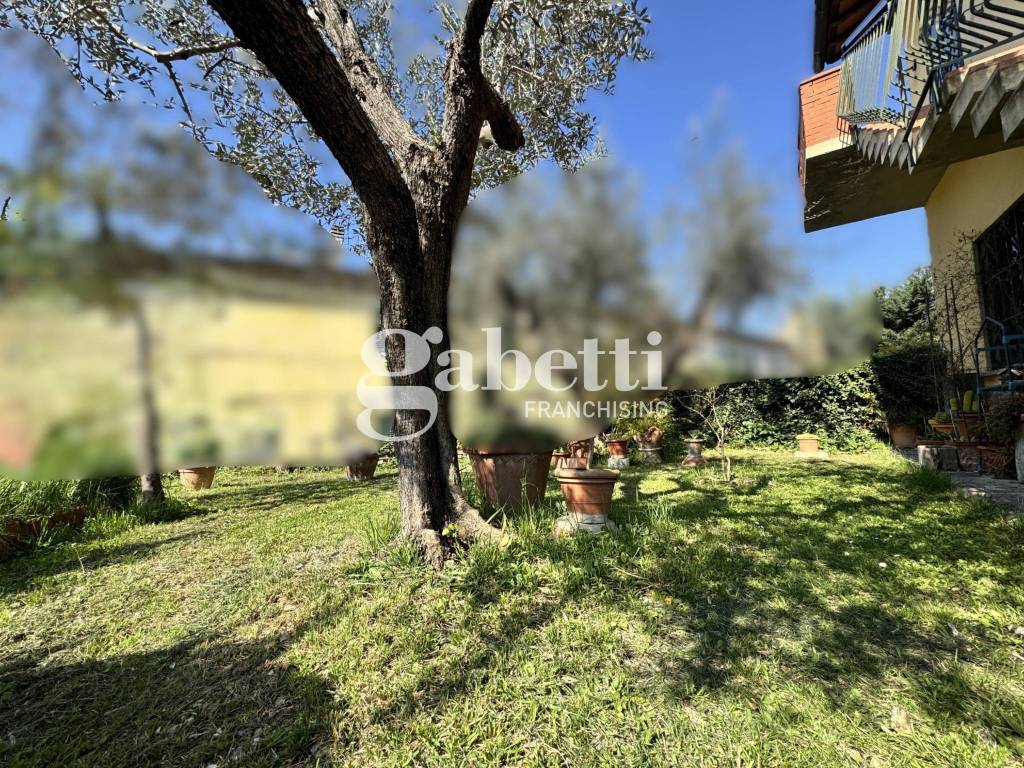 Giardino
