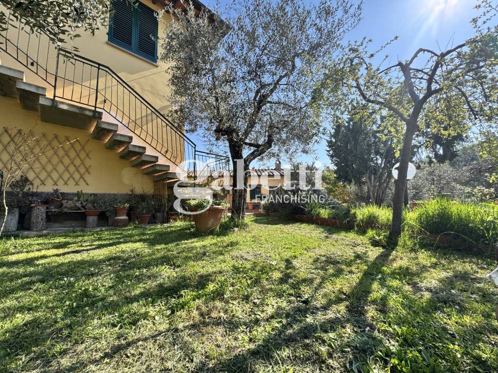 Giardino