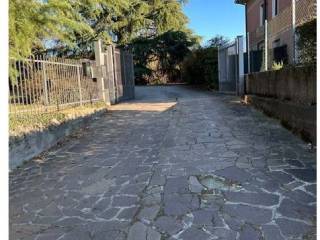 Zona