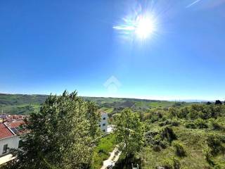 Vista