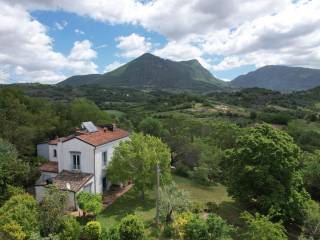 Vista