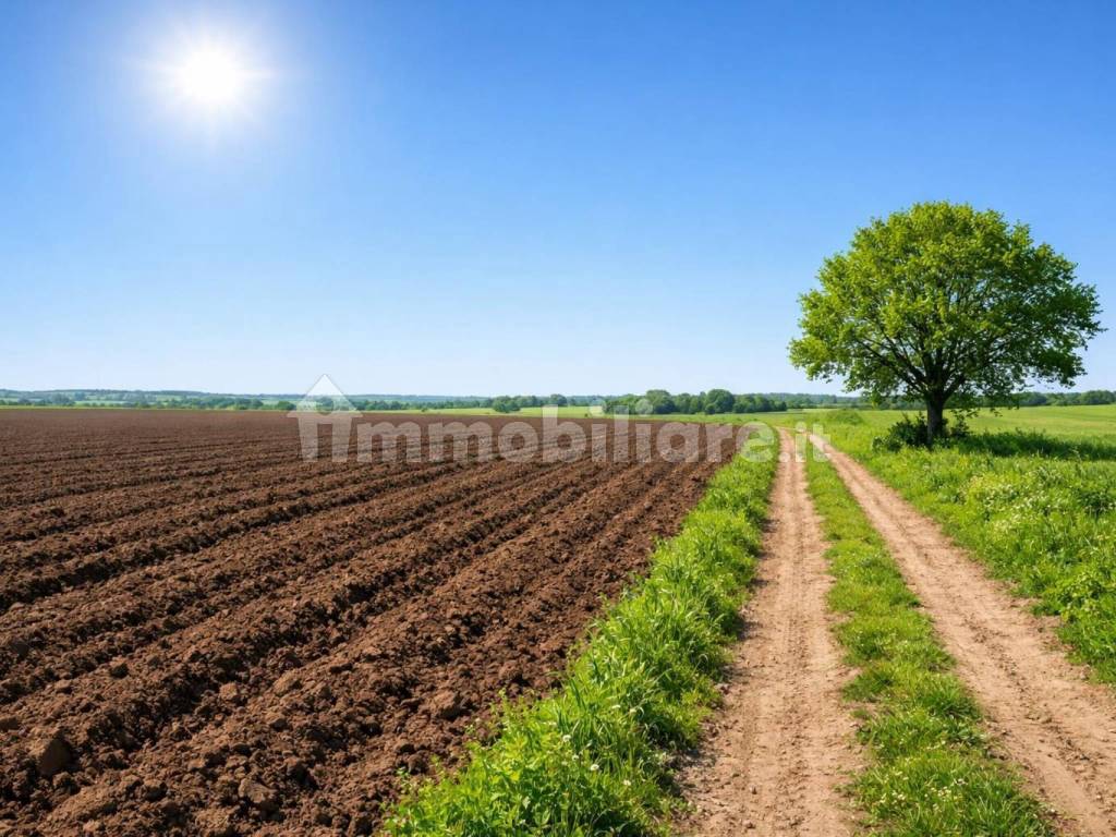 Terreno