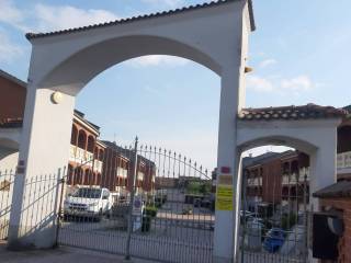 Zona