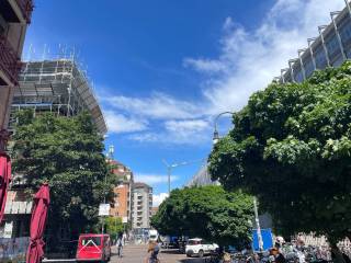 Zona