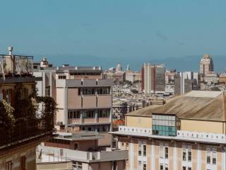 Vista