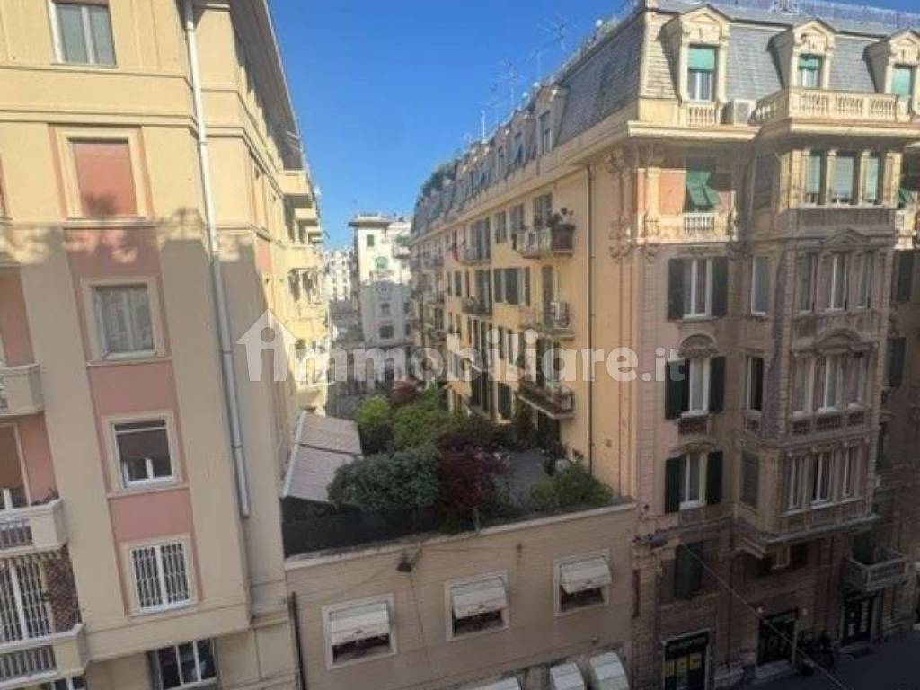 Vista