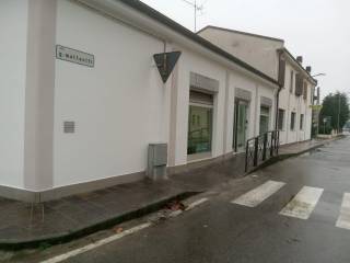 Zona