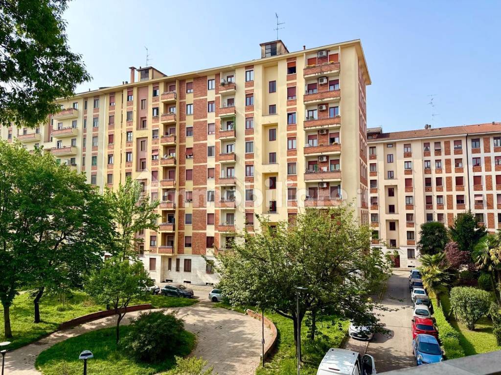 Vista