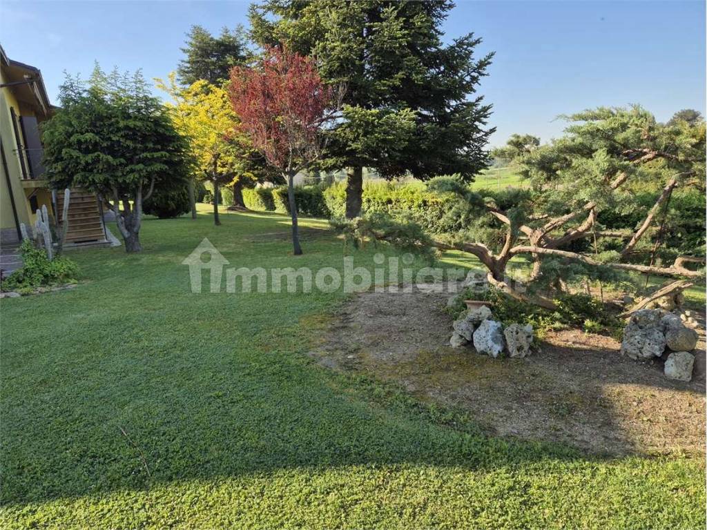 Giardino