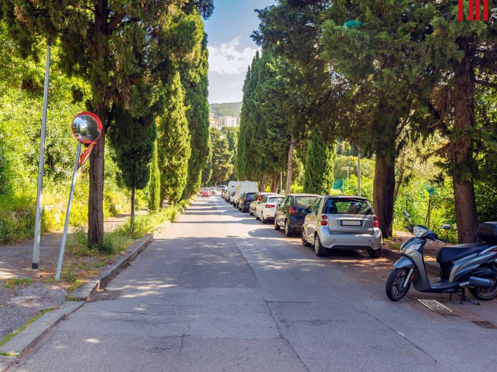 Zona
