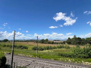 Vista