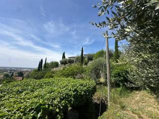 Vista