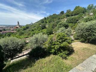 Vista
